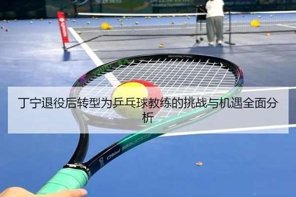 ding-ning-tui-yi-hou-zhuan-xing-wei-ping-pang-qiu-jiao-lian-de-tiao-zhan-yu-ji-yu-quan-mian-fen-xi-2-524.jpg