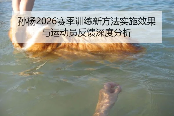 孙杨2026赛季训练新方法实施效果与运动员反馈深度分析